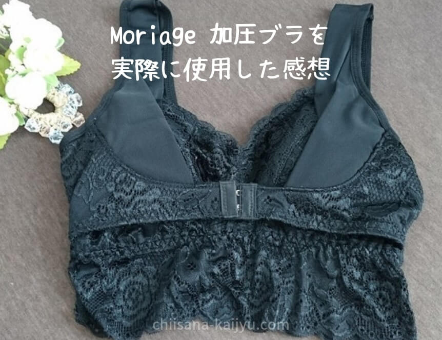 個人的には買って失敗 Moriage モリアージュ 加圧ブラを実際に使った口コミ評価 カップの大きさに要注意 こどもはちいさな怪獣
